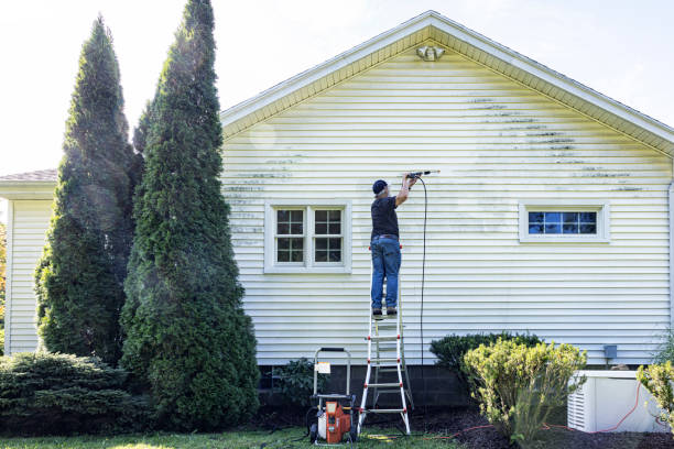 Best Sidewalk Pressure Washing  in St Clair, MI