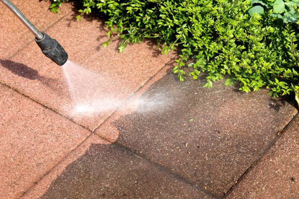 Best Residential Pressure Washing Services  in St Clair, MI
